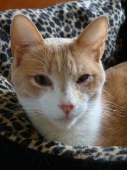 Bild von Fabio
