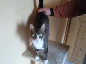 r Bild von Rayito