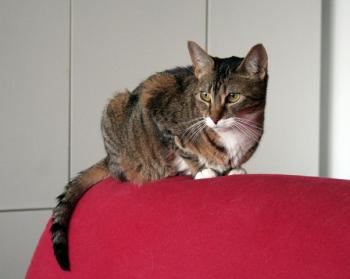 t Bild von Timi