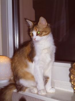 t Bild von Txita