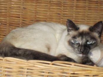 g Bild von Salina