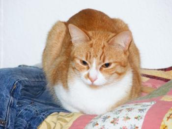 m Bild von Marcial