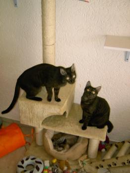 m Bild von Pino