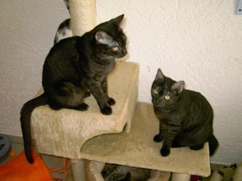 m Bild von Pino