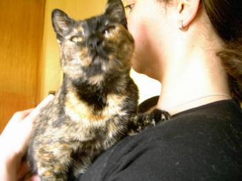 Bild von Tina