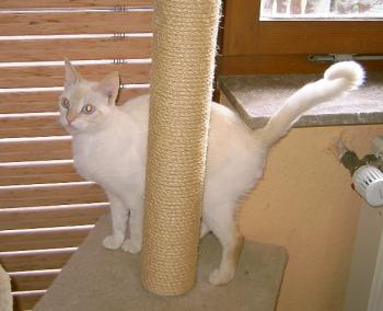 c Bild von Chiquineja