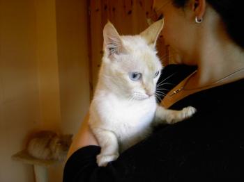 c Bild von Chiquineja