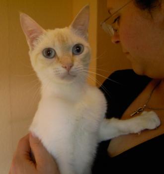 c Bild von Chiquineja