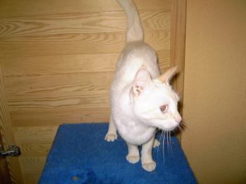 c Bild von Chiquineja