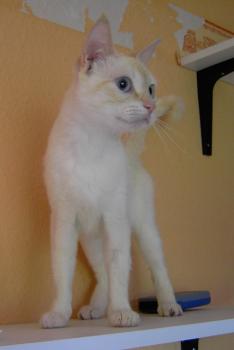 c Bild von Chiquineja