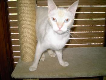 c Bild von Chiquineja