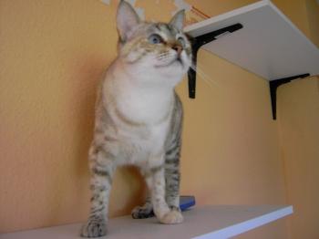 Bild von Emily