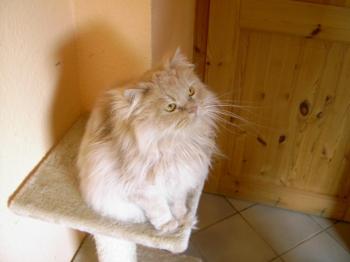 f Bild von Freddie