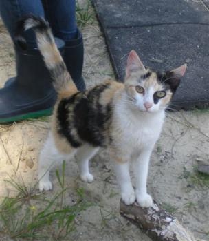 t Bild von Teresita