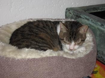 r Bild von Robertito