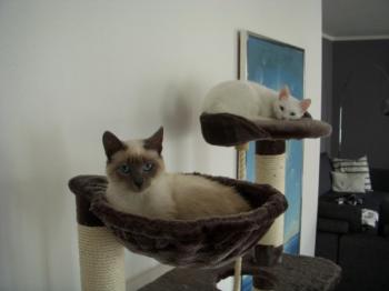 s Bild von Sammy
