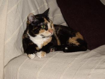 m Bild von Maya