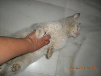 c Bild von Casper