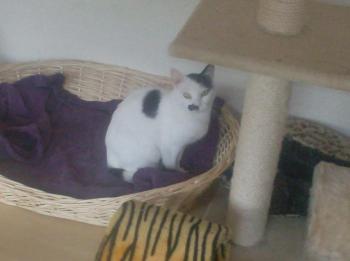 a Bild von Addi