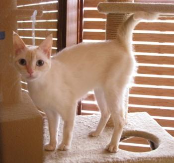 c Bild von Chiquineja