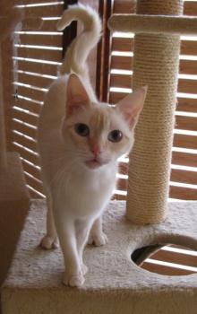 c Bild von Chiquineja