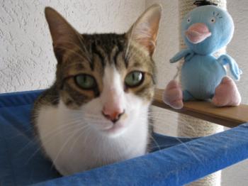 k Bild von Karem
