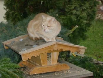 Bild von Mishou