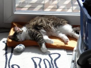 o Bild von Ona