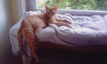 l Bild von Lolo