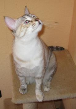 Bild von Emily
