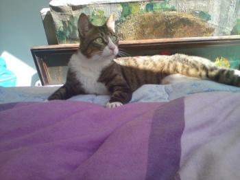 r Bild von Rayito