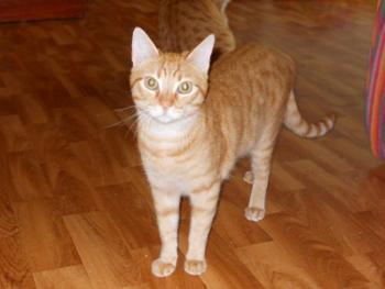 j Bild von Jack