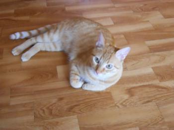 j Bild von Jack