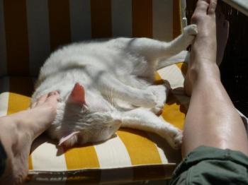 b Bild von Blanca