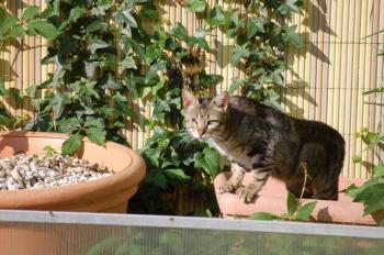 o Bild von Olivia