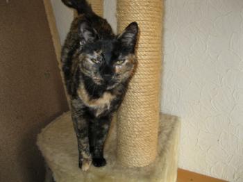 Bild von Tina