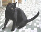 Lucas Bild von Lucas