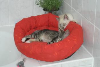 m Bild von Albert