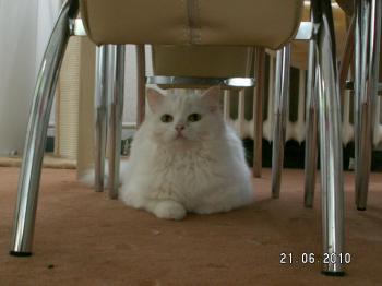 Malia Bild von Malia