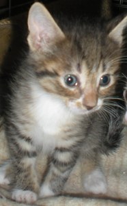 t Bild von Terry