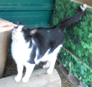 e Bild von Eros
