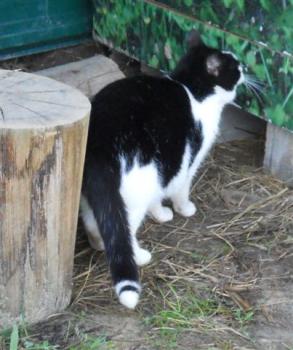 e Bild von Eros