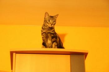m Bild von Malu