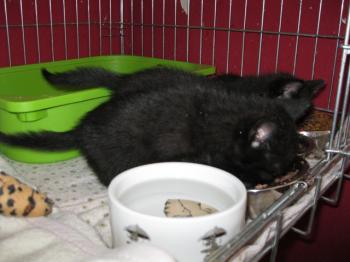 s Bild von Edward