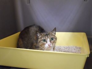 s Bild von Sarita