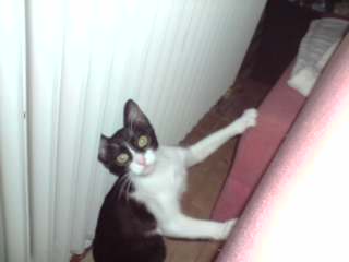 Nicoletta Bild von Nicoletta