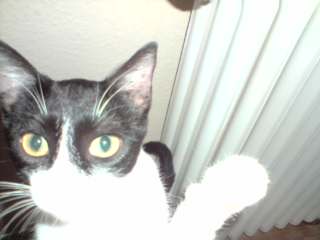 Nicoletta Bild von Nicoletta