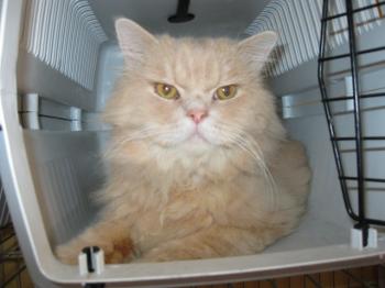 s Bild von Sunny