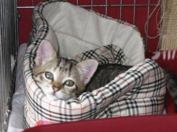 Bild von Betty