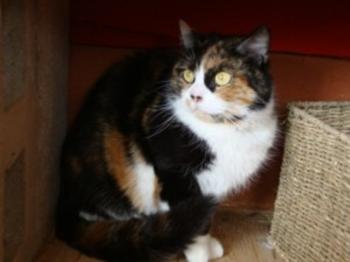 m Bild von Momo